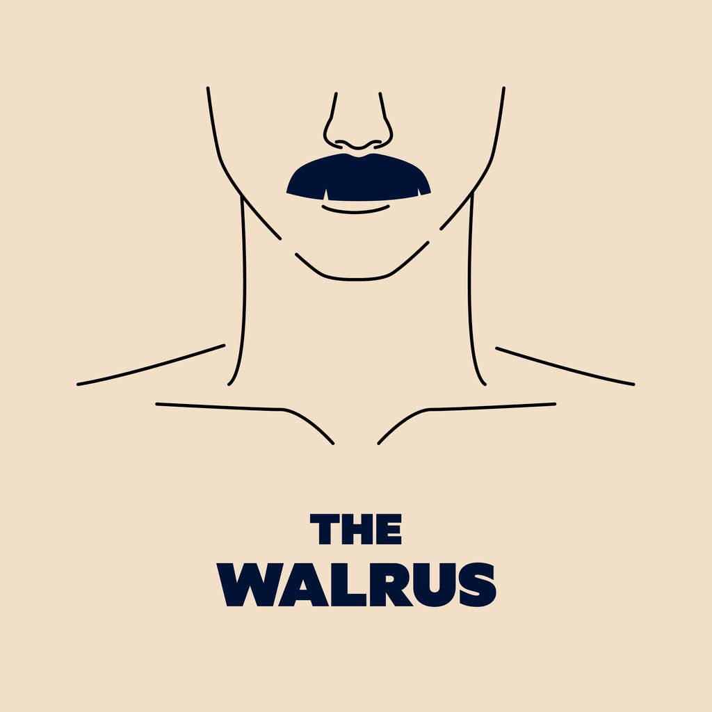 Illustration of man with Walrus mustache.